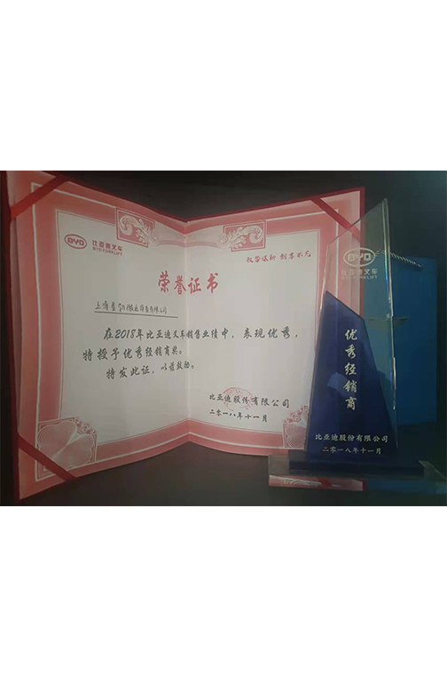 东阳市比亚迪2018优秀经销商