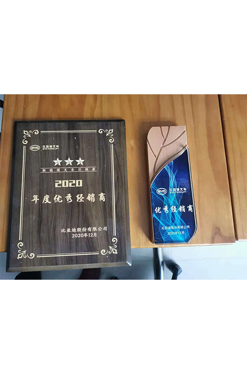 东阳市比亚迪2020优秀经销商